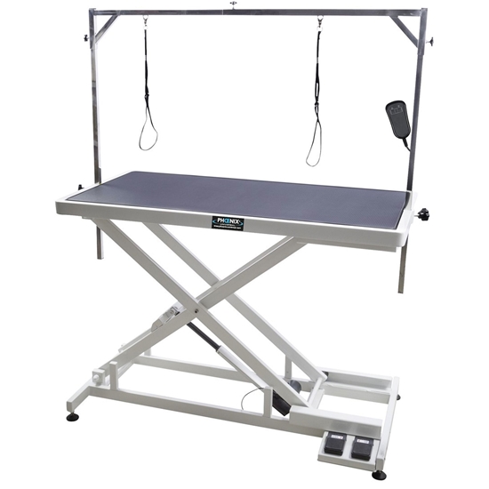 Picture of XL Electric Grooming Table 125cm with dual control